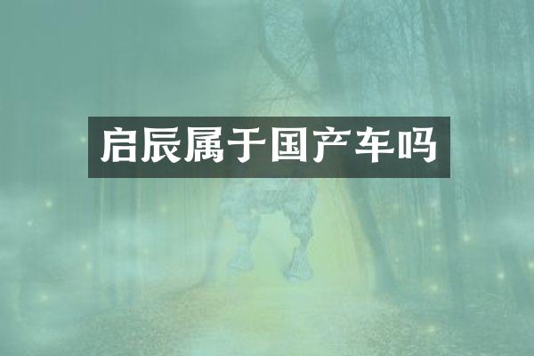 启辰属于国产车吗