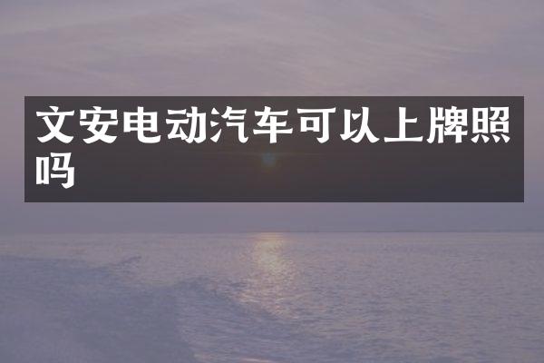 文安电动汽车可以上牌照吗