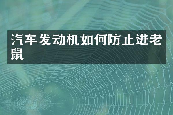 汽车发动机如何防止进老鼠