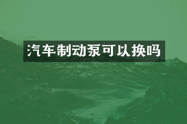 汽车制动泵可以换吗