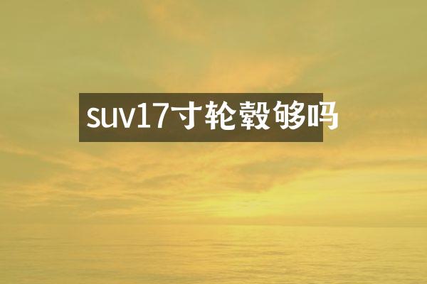 suv17寸轮毂够吗