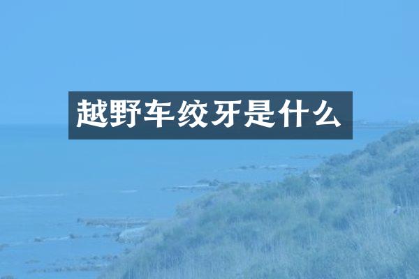 越野车绞牙是什么