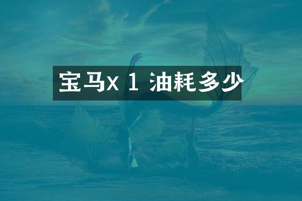 宝马x 1 油耗多少
