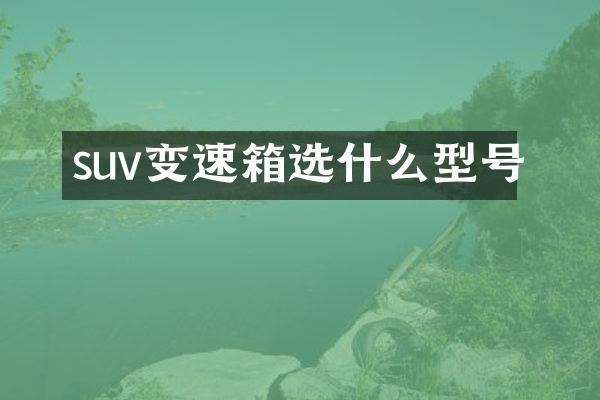 suv变速箱选什么型号