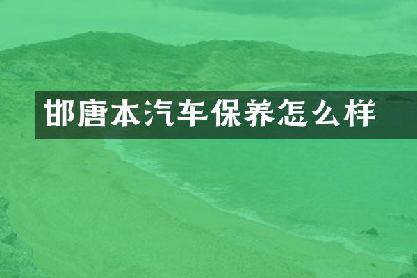 邯鄲唐本汽车保养怎么样