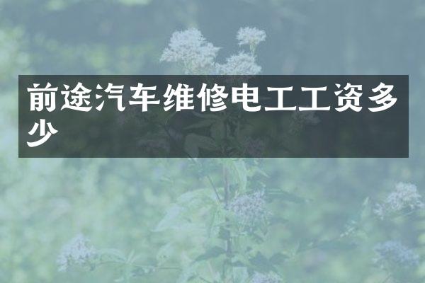 前途汽车维修电工工资多少
