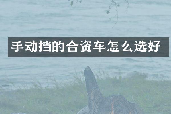 手动挡的合资车怎么选好