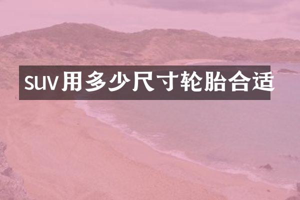 suv用多少尺寸轮胎合适