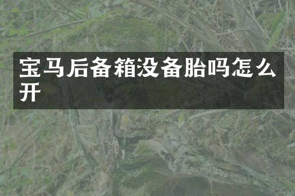 宝马后备箱没备胎吗怎么开