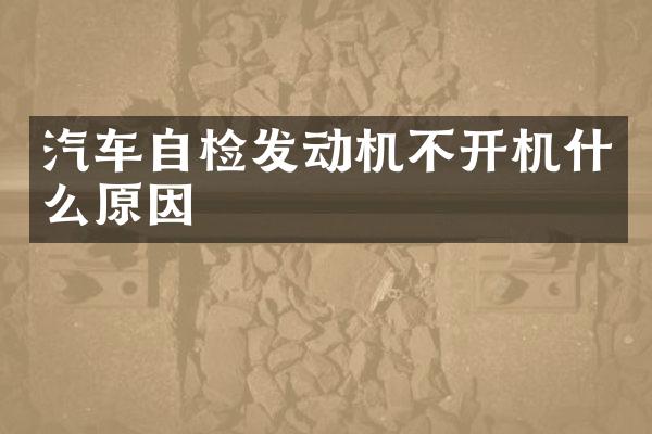 汽车自检发动机不开机什么原因