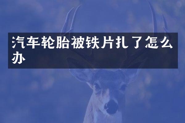 汽车轮胎被铁片扎了怎么办