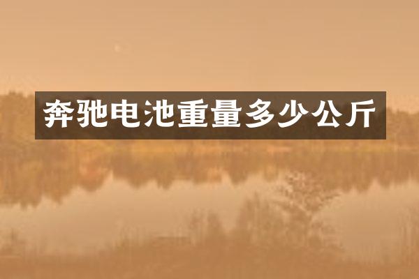 奔驰电池重量多少公斤