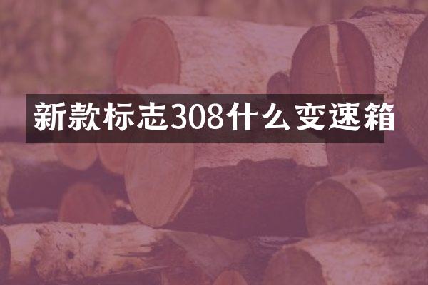 新款标志308什么变速箱