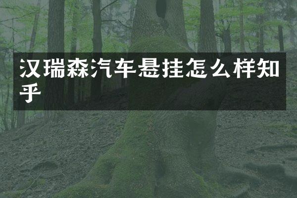 汉瑞森汽车悬挂怎么样知乎