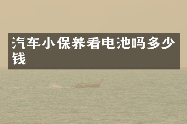 汽车小保养看电池吗多少钱