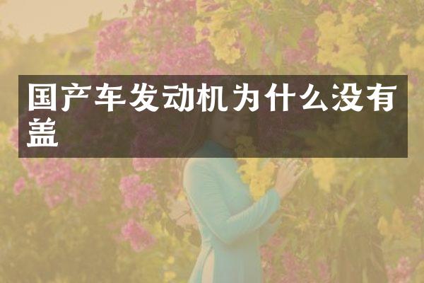 国产车发动机为什么没有盖