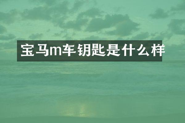 宝马m车钥匙是什么样