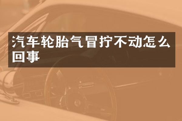 汽车轮胎气冒拧不动怎么回事