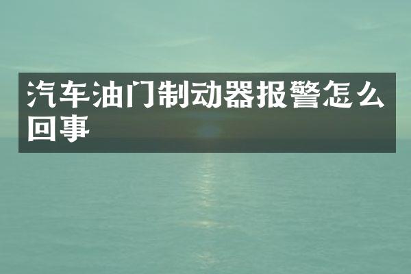 汽车油门制动器报警怎么回事