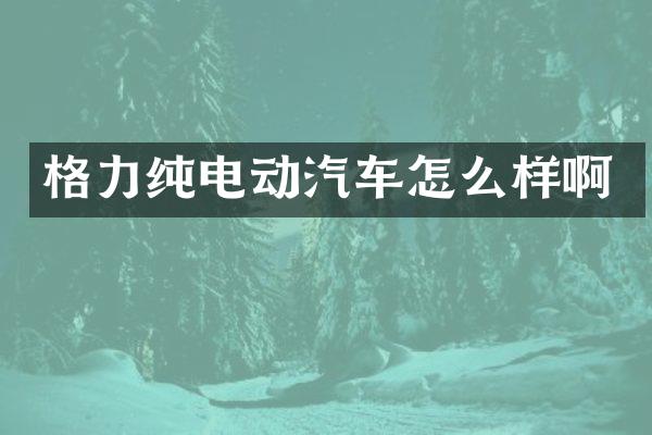 格力纯电动汽车怎么样啊