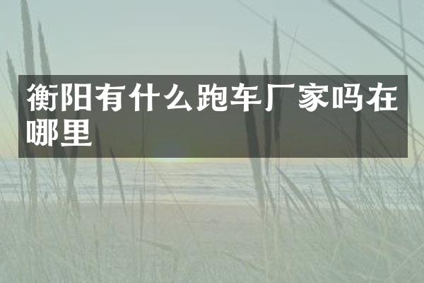 衡阳有什么跑车厂家吗在哪里