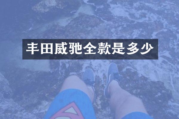 丰田威驰全款是多少