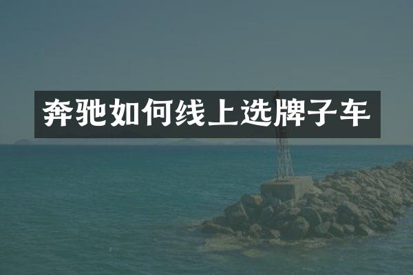 奔驰如何线上选牌子车