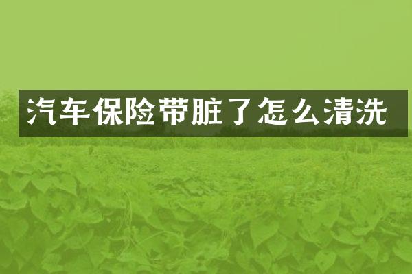 汽车保险带脏了怎么清洗