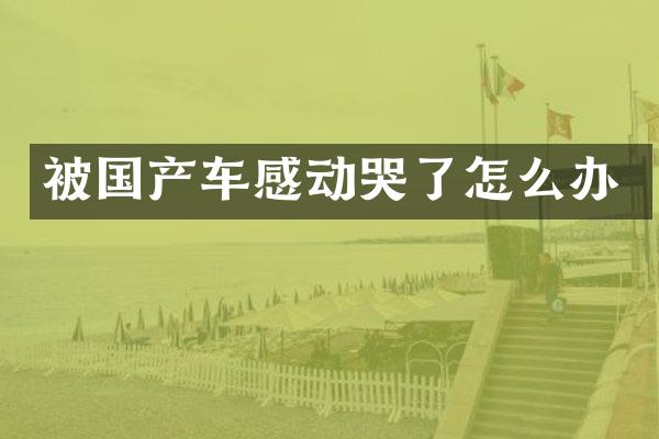 被国产车感动哭了怎么办