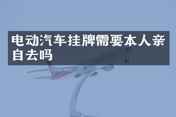 电动汽车挂牌需要本人亲自去吗