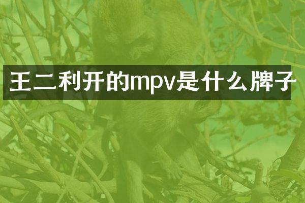 王二利开的mpv是什么牌子