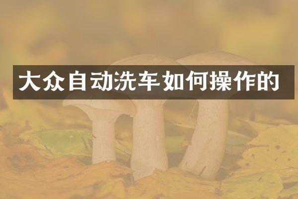 大众自动洗车如作的