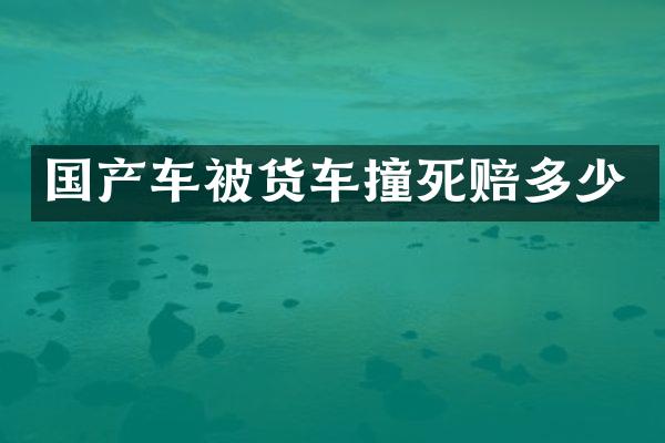 国产车被货车撞死赔多少