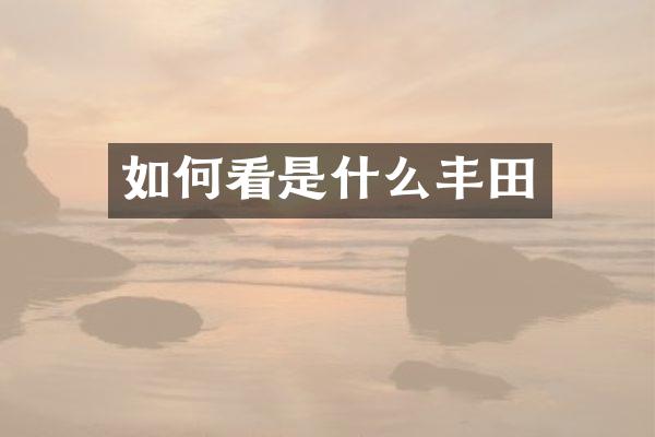 如何看是什么丰田