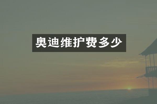 奥迪维护费多少