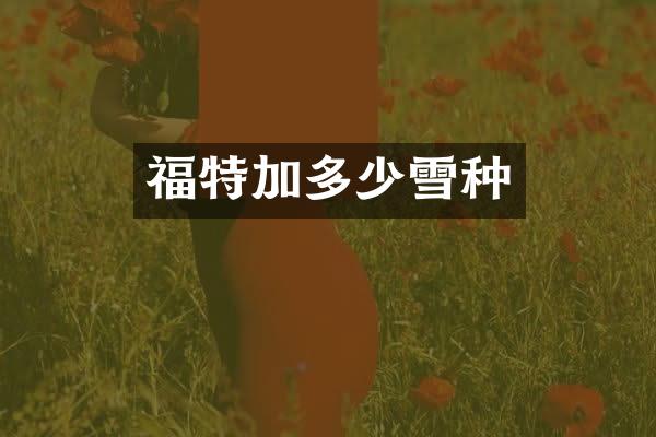 福特加多少雪种