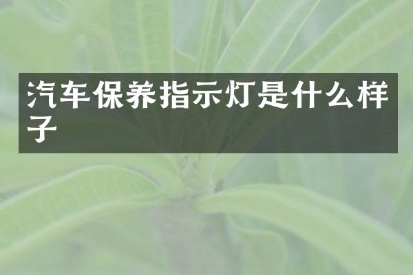 汽车保养指示灯是什么样子