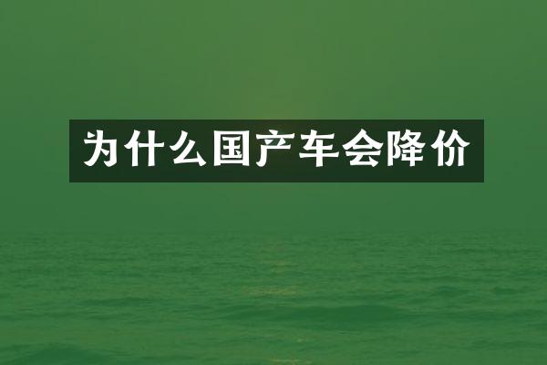 为什么国产车会降价