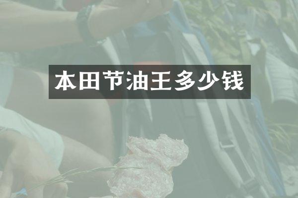 本田节油王多少钱