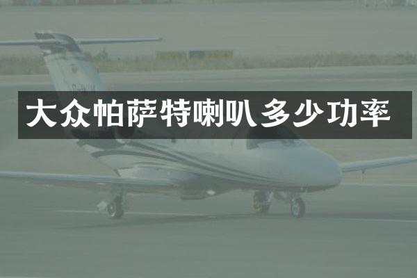 大众帕萨特喇叭多少功率