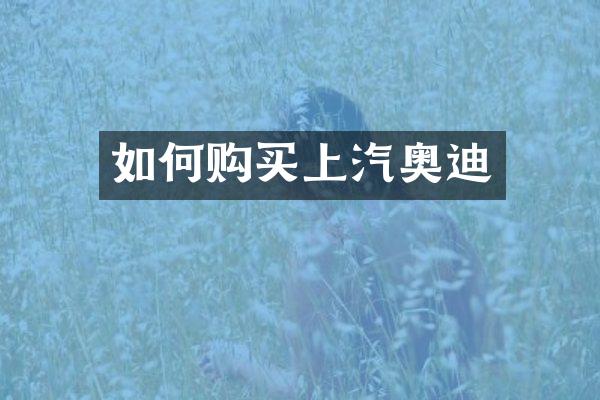 如何购买上汽奥迪