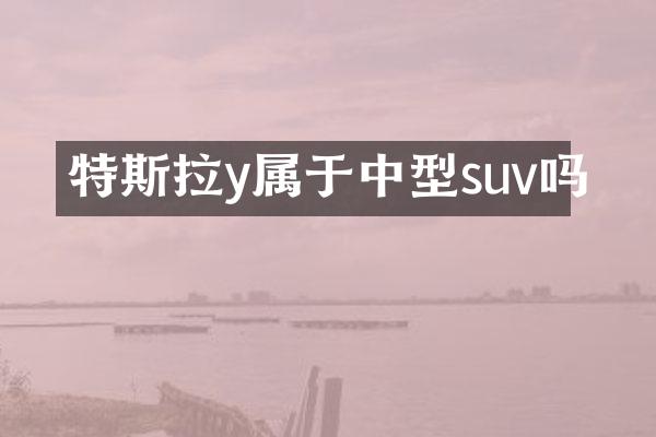 特斯拉y属于中型suv吗