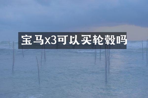 宝马x3可以买轮毂吗