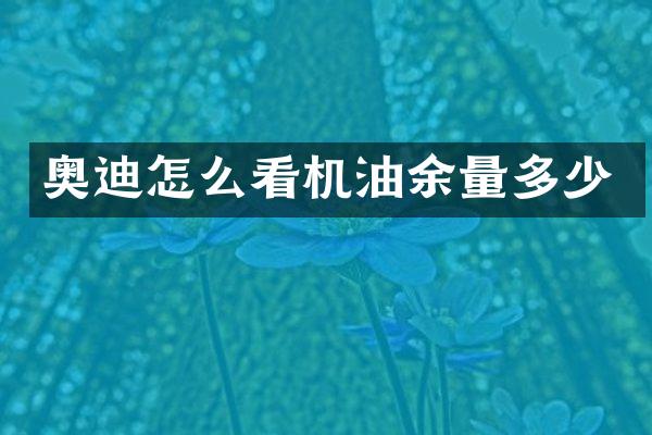 奥迪怎么看机油余量多少