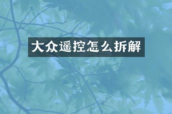 大众遥控怎么拆解