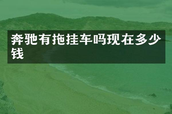 奔驰有拖挂车吗现在多少钱