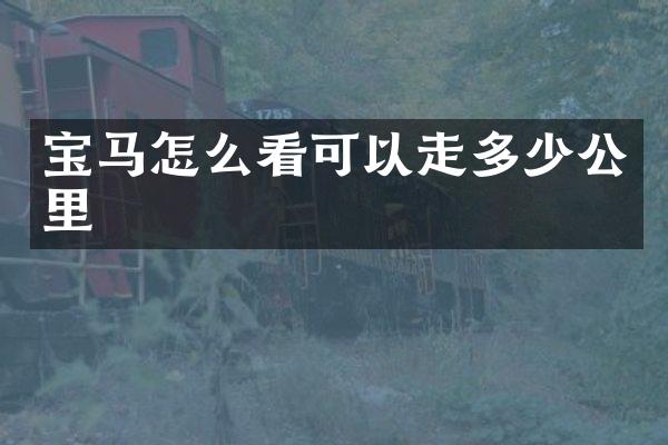 宝马怎么看可以走多少公里