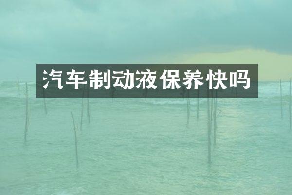 汽车制动液保养快吗