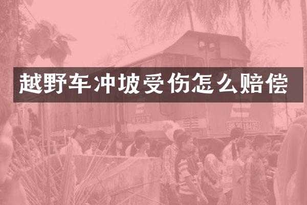 越野车冲坡受伤怎么赔偿