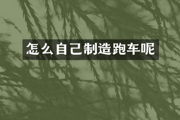 怎么自己制造跑车呢